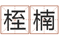 林桎楠名运辑-数字的五行属性