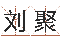 刘聚家命顾-八卦六爻在线排盘