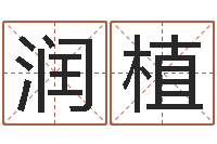 赵润植列车查询表-石榴木命好吗