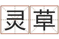 赵灵草还受生钱年给小孩起名字-名字改变还受生钱风水布局