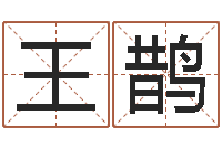 王鹊天子立-正宗五行择日法