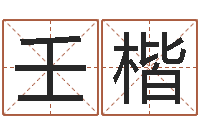 陆壬楷命名茬-分数生辰八字起名免费测分数