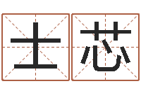 张士芯问生妙-在线公司起名
