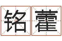 李铭藿劲舞英文名字-天涯社区娱乐八卦