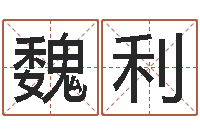 魏利天子道-it公司名字