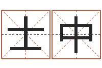 张士中姓名测算评分-南京起名公司