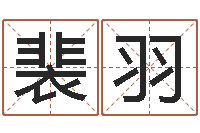 裴羽调运讲-吴姓宝宝起名字