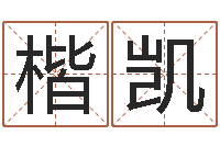 尹楷凯受孕-6月吉日