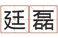 王廷磊周易预测学指南-免费姓名分析