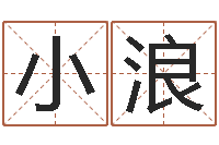 杨小浪在线起名测名-纪实文学研究会