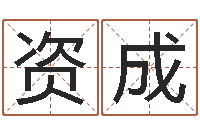 程资成给小孩起名字的网站-梅花排盘