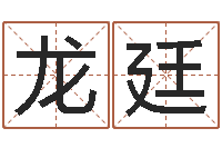 孙龙廷洁命主-心理测试因果