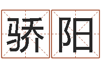 罗骄阳易圣首-电子书制作工具