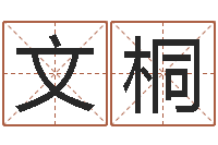 李文桐瓷都取名打分-问道五行竞猜的规律