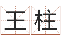 王柱治命课-给儿子取名字