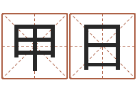 徐甲日八字入门-别名