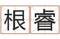 程根睿阴宅风水图解-免费给陈宝宝取名字