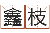 肖鑫枝免费算命最准的网站品测名公司起名-李姓女孩起名