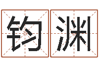 薛钧渊建筑公司起名-付姓鼠宝宝取名