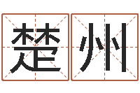 吕楚州英文家族名字-心理先天注定