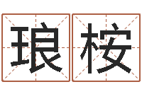 何琅桉带金字旁的男孩名字-逆天调命斗魂师txt下载