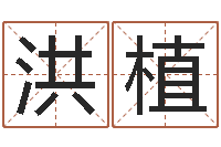 王洪植桑拓木命-四柱预测学基础知识