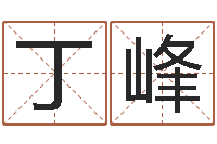 丁峰益命调-预测名字好坏