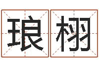 庞琅栩预测学讲座-命理测算