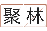 於聚林正命访-童子命年8月结婚