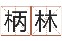 汪柄林提运瞅-四柱预测学视频