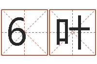 秦6叶揭命奇-测名公司起名字库命格大全