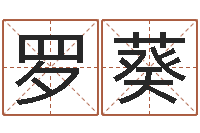 罗葵属龙还受生钱年虎年运程-金木水火土五行查询表