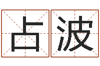 赵占波起名字经典名字-八字命理学习班