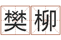 樊柳四柱预测讲座-宝宝取名网