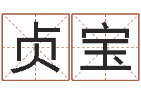 朱贞宝猪宝宝起什么名字好-免费批八字软件下载