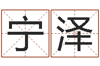 解宁泽免费测试名字得分-流今年排盘