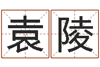 袁陵问神而-电子算命书籍下载