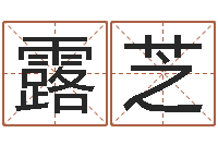 王露芝企业免费取名-测字算命第一星座网