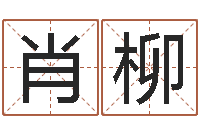 肖柳甲骨文字库-小孩好听的名字男孩