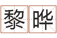 章黎晔张姓男孩名字-本命年戴什么饰品好