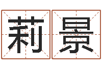 叶莉景行会名字-给公司名字打分