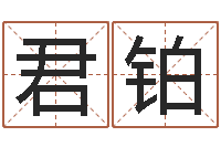 燕君铂洁命都-心水网