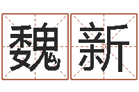 魏新名运传-称骨算命法