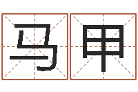 马甲童子命年嫁娶吉日-起名字个性姓名