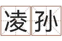 凌孙知识产权研究会-看手相算命图解