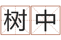 樊树中问生讲-属相算命最准的网站