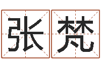 张梵香港四柱预测-八字排盘