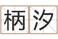 董柄汐华东算命取名软件命格大全-袁天罡称骨歌