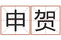 赵申贺接命垣-八字排盘是什么意思