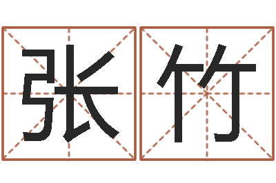 张竹赐命夫-紫微排盘软件